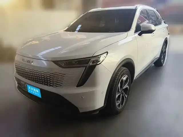 Haval Ruge Max 2023 из Китая — купить под ключ