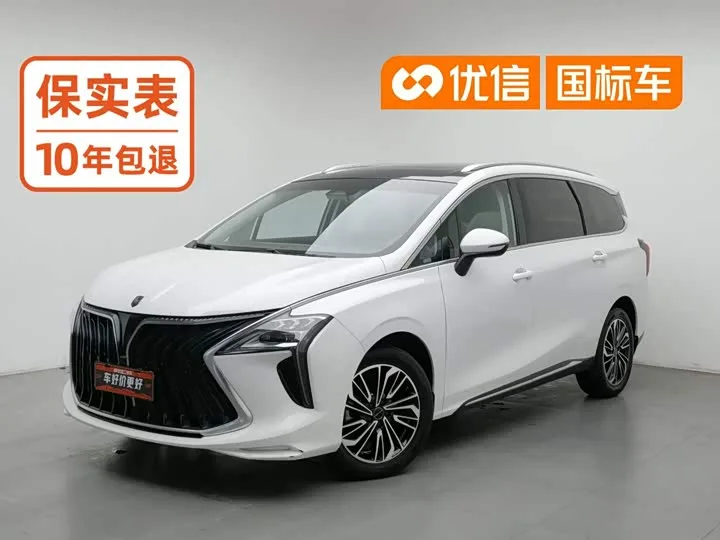 Dongfeng Forthing Yacht 2022 из Китая — купить под ключ