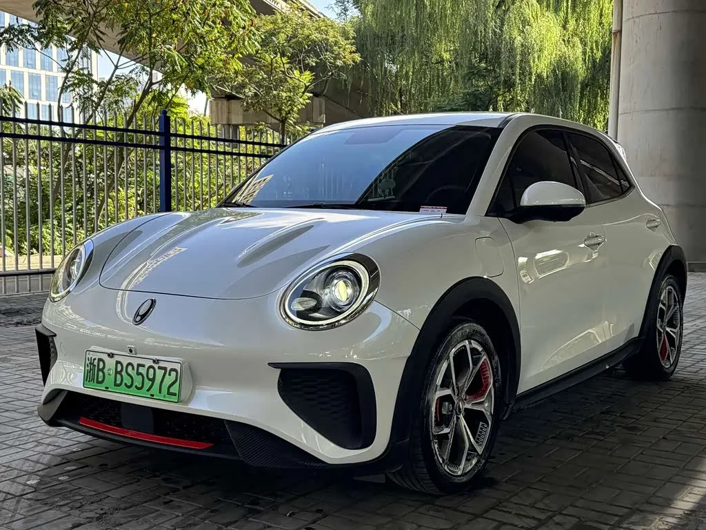 Ora Good Cat GT (03 GT) 2024 из Китая — купить под ключ