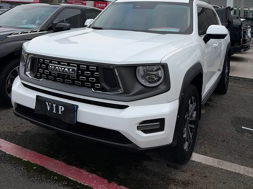 Haval H-Dog 2024 из Китая — купить под ключ