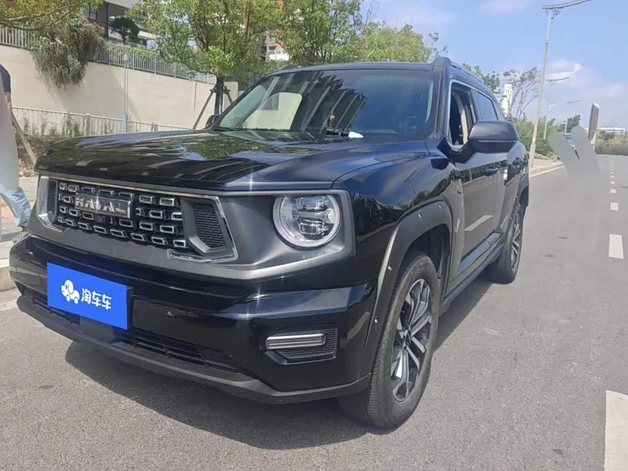 Haval H-Dog 2023 из Китая — купить под ключ