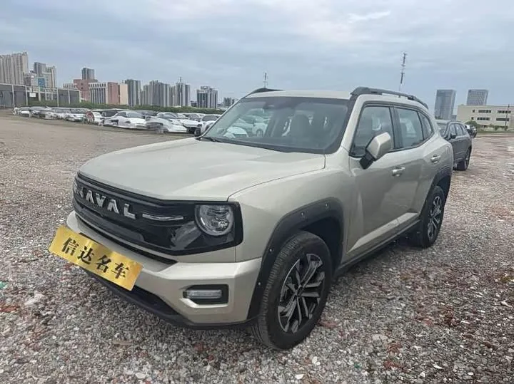 Haval H-Dog 2026 из Китая — купить под ключ