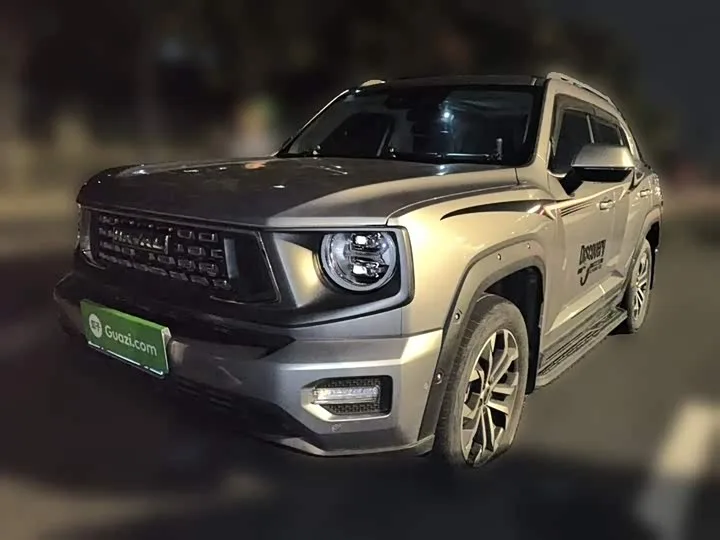 Haval H-Dog 2023 из Китая — купить под ключ