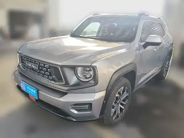 Haval H-Dog 2023 из Китая — купить под ключ