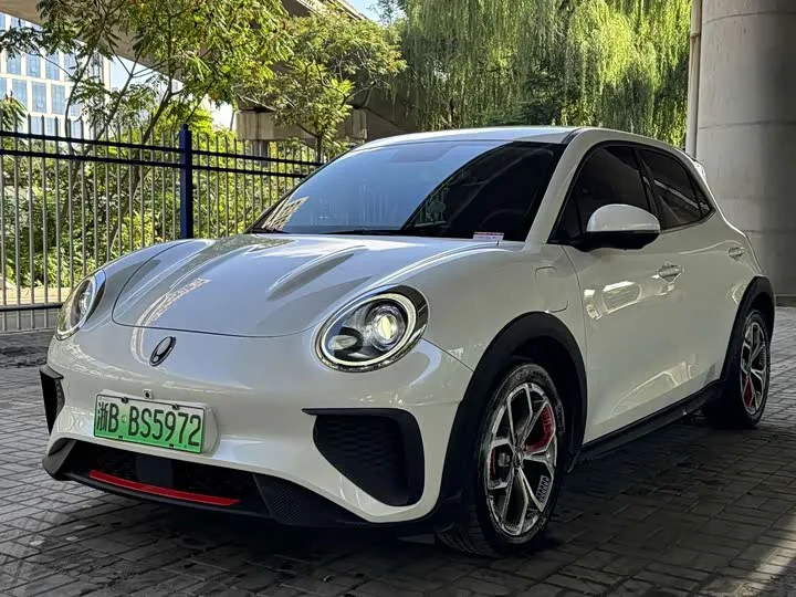 Ora Good Cat GT (03 GT) 2024 из Китая — купить под ключ