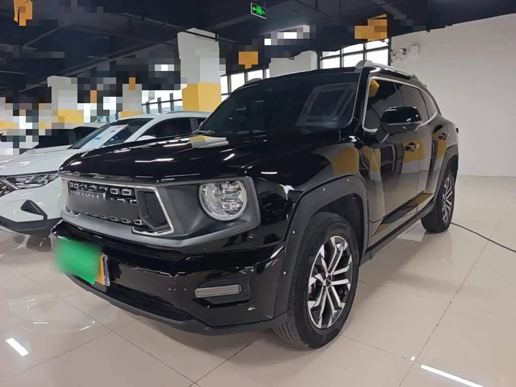 Haval H-Dog 2023 из Китая — купить под ключ