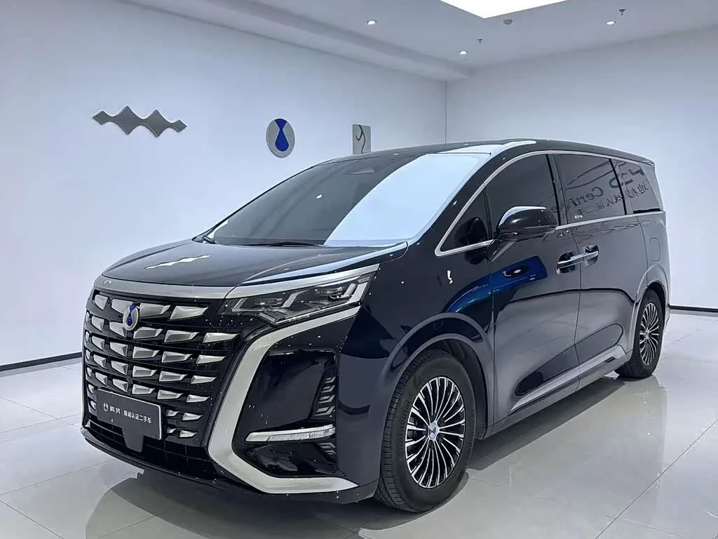 Denza D9 2024 из Китая — купить под ключ