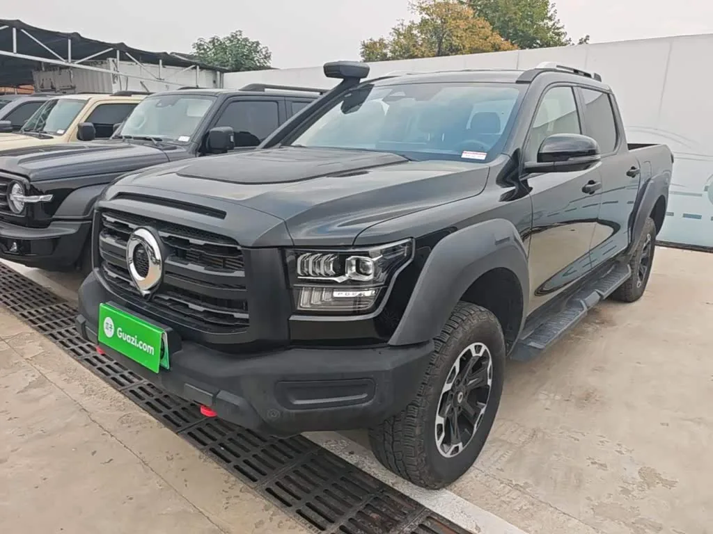Great Wall Shanhai Poer Hybrid 2025 из Китая — купить под ключ