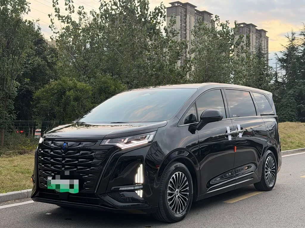 Denza D9 2024 из Китая — купить под ключ