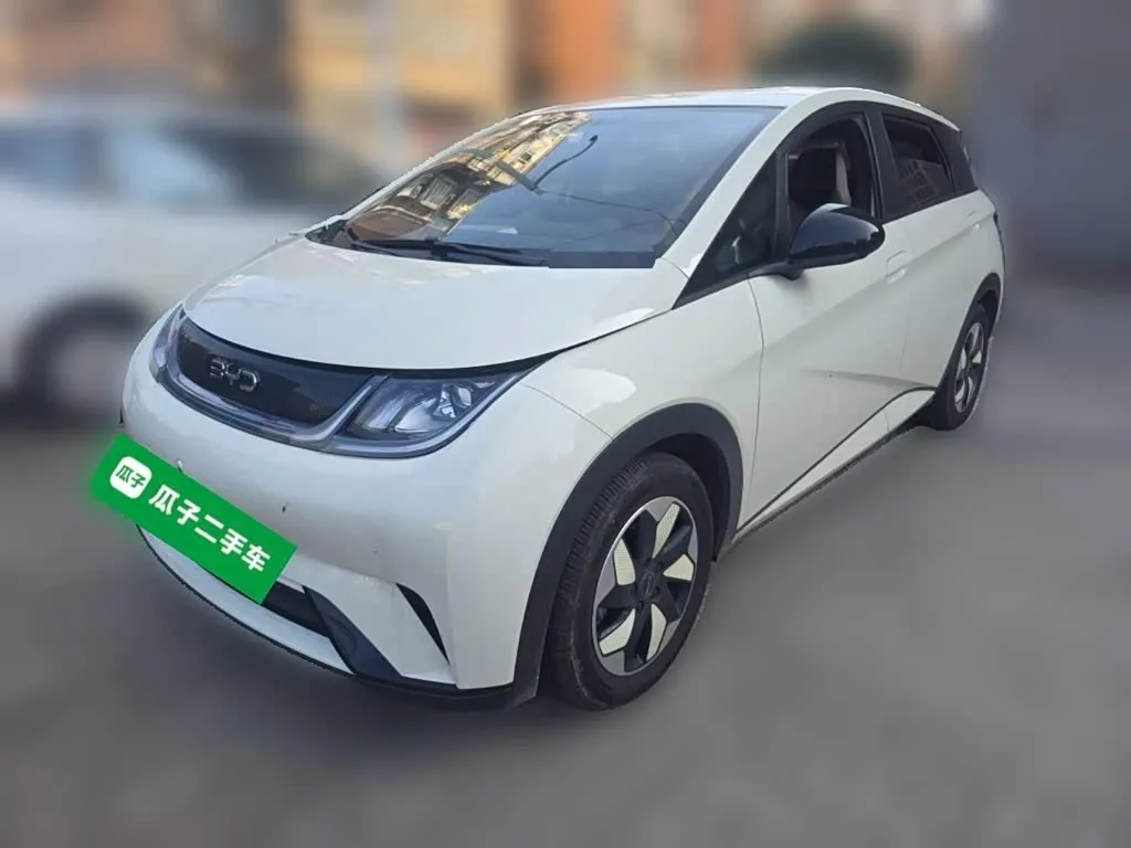 BYD Dolphin 2024 из Китая — купить под ключ