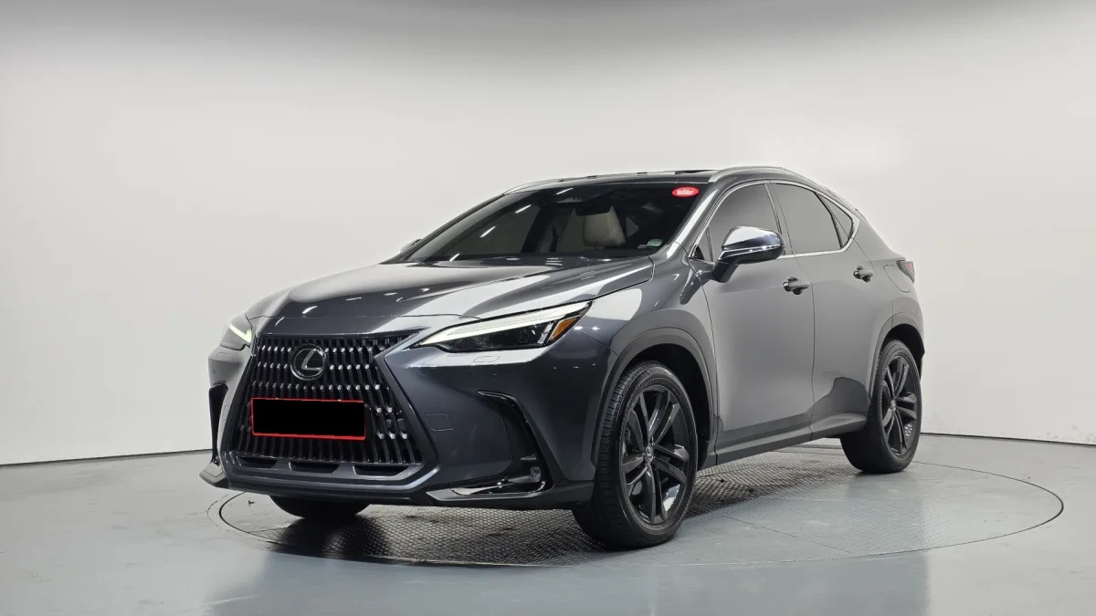Lexus NX 2024 из Кореи — купить под ключ