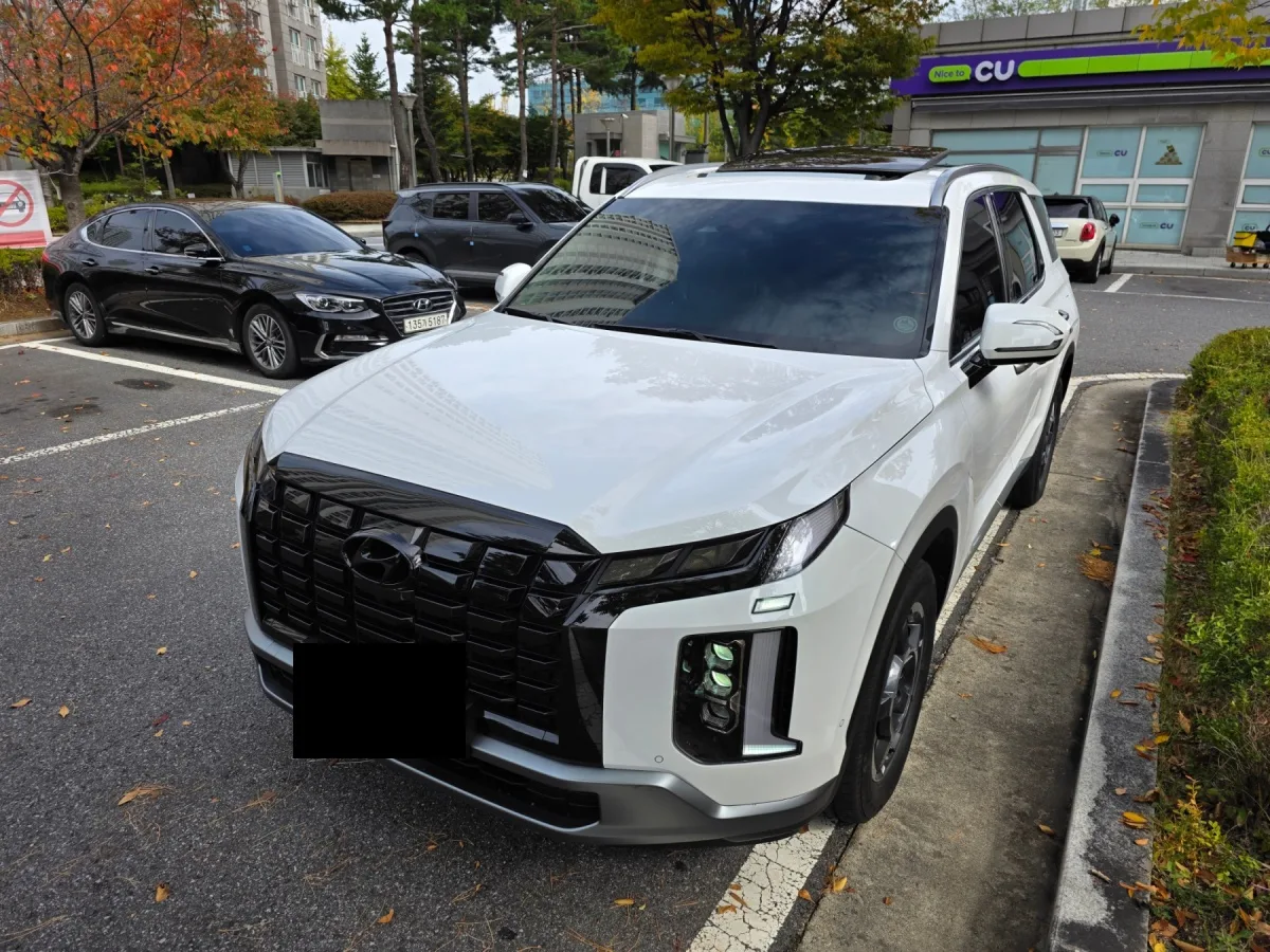 Hyundai Palisade 2024 из Кореи — купить под ключ