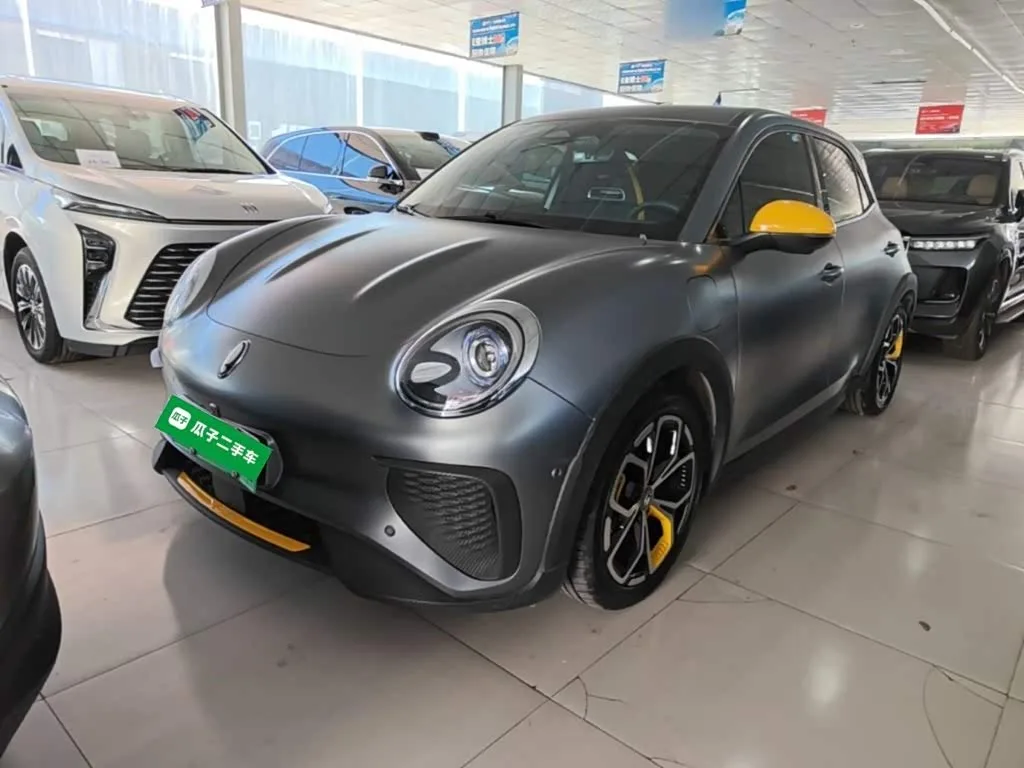 Ora Good Cat GT (03 GT) 2024 из Китая — купить под ключ
