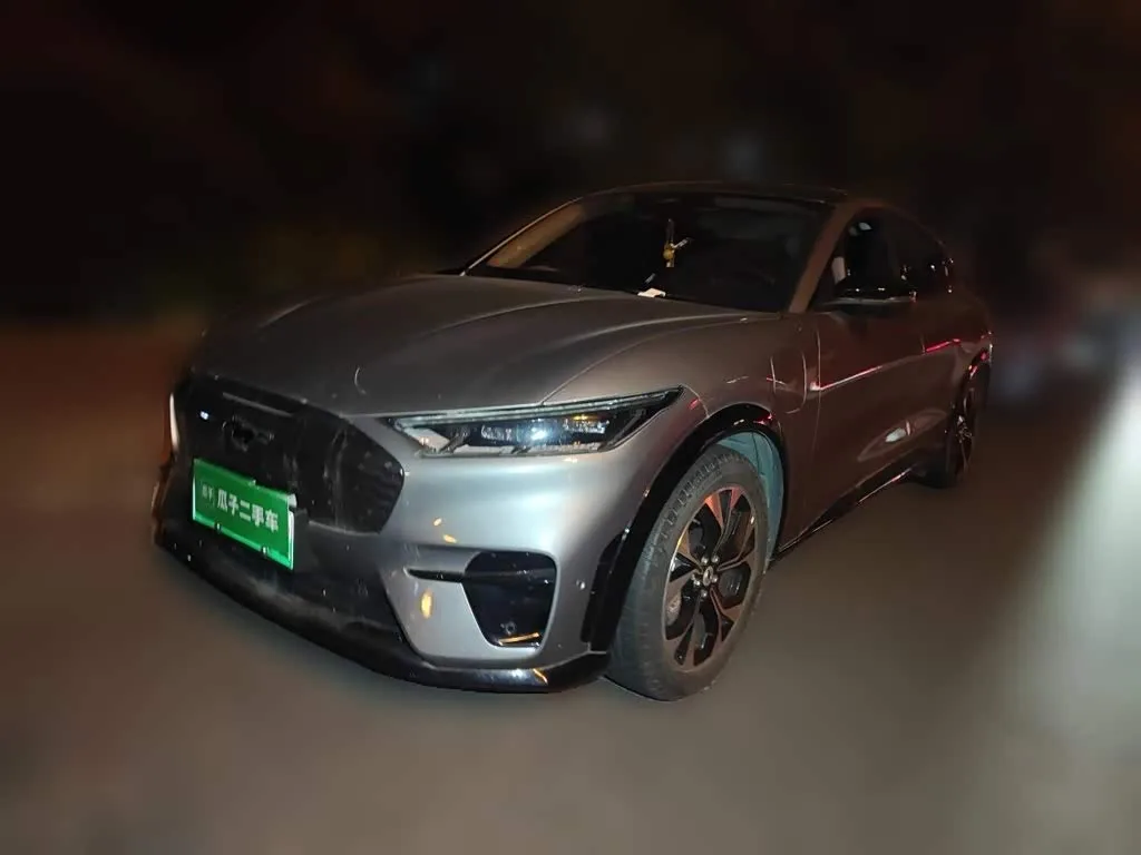 Ford Mustang Mach-E 2022 из Китая — купить под ключ