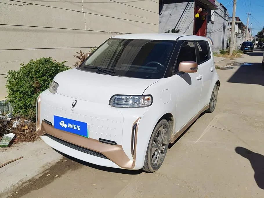 Ora White Cat 2022 из Китая — купить под ключ