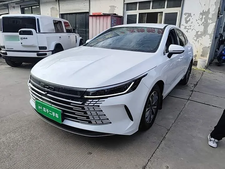 BYD Destroyer 05 2024 из Китая — купить под ключ