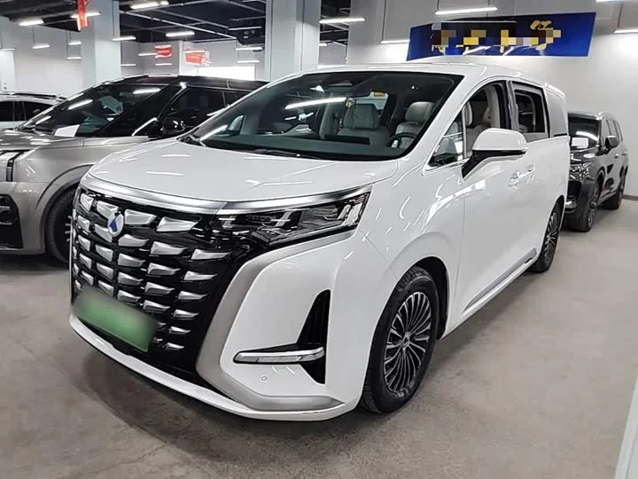 Denza D9 2023 из Китая — купить под ключ