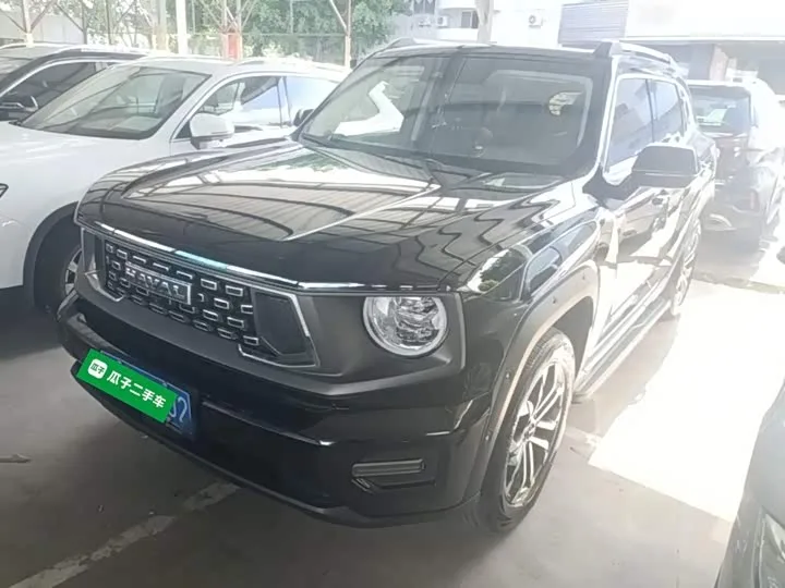 Haval H-Dog 2024 из Китая — купить под ключ
