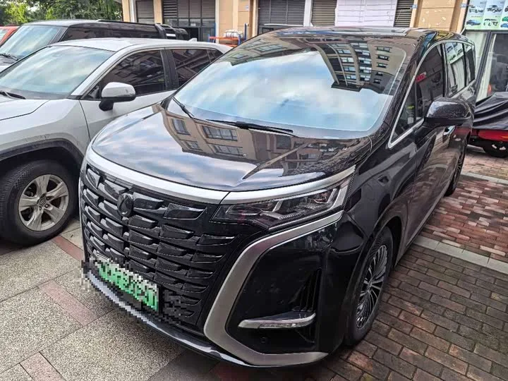 Denza D9 2023 из Китая — купить под ключ