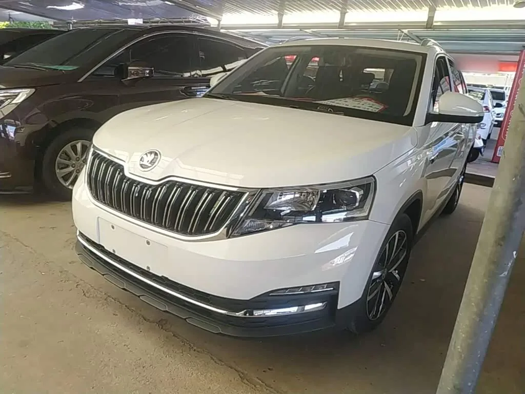 Skoda Kamiq 2020 из Китая — купить под ключ