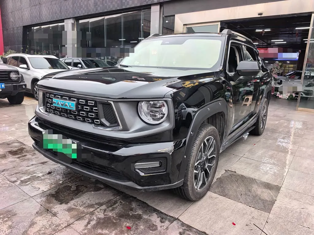 Haval H-Dog Hybrid 2025 из Китая — купить под ключ