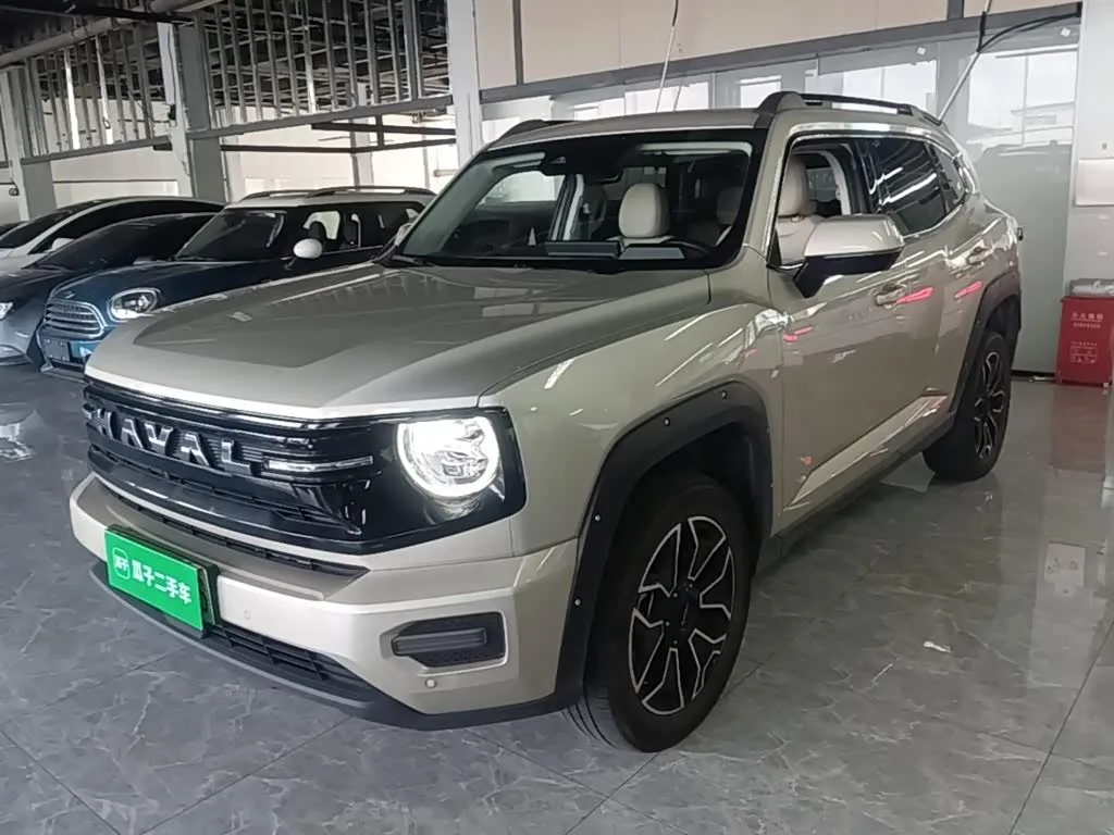 Haval H-Dog Hybrid 2025 из Китая — купить под ключ