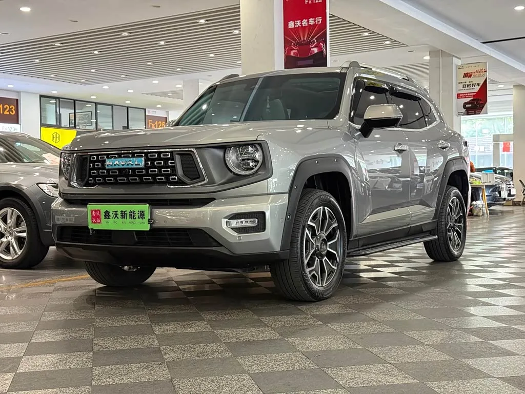 Haval H-Dog Hybrid 2024 из Китая — купить под ключ