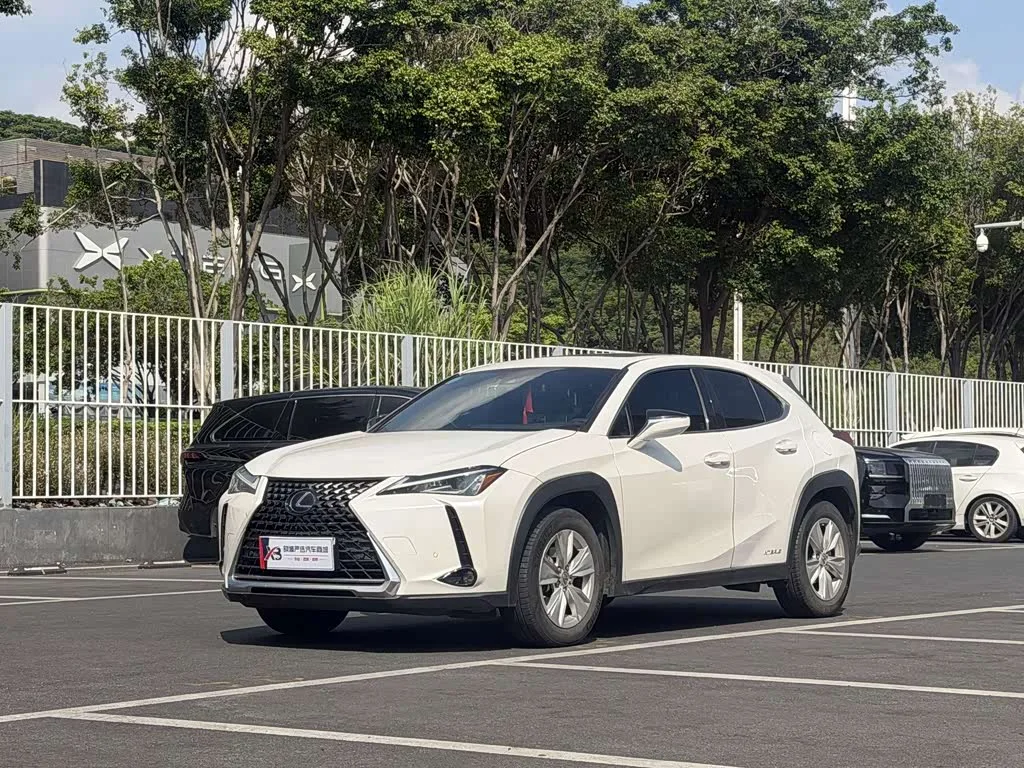 Lexus UX 2020 из Китая — купить под ключ
