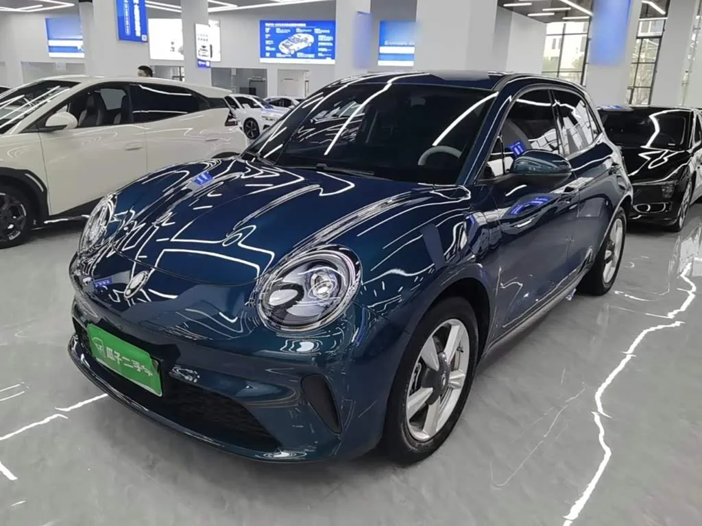 Ora Good Cat GT (03 GT) 2025 из Китая — купить под ключ