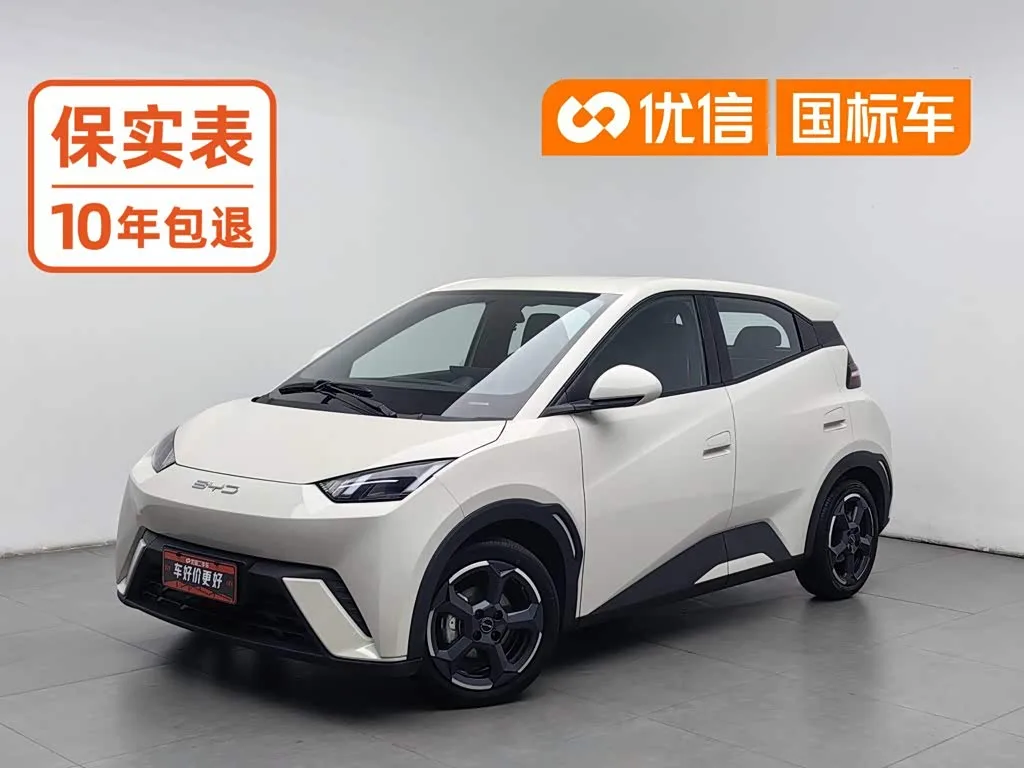 BYD Seagull 2023 из Китая — купить под ключ