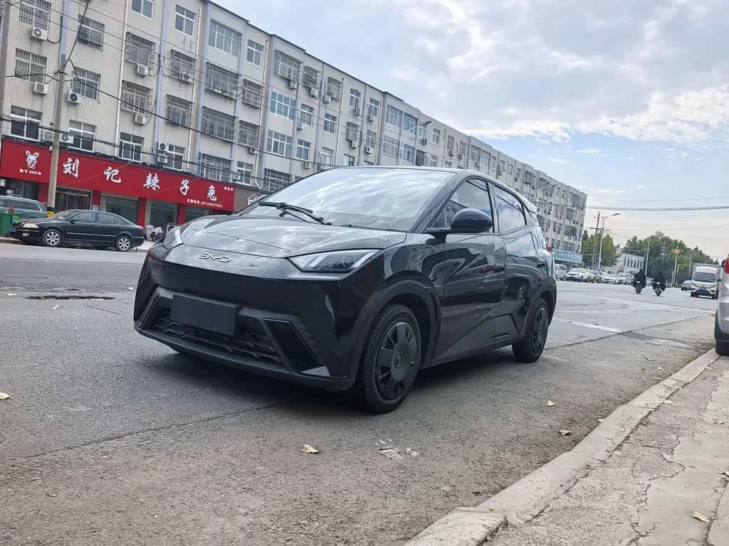 BYD Seagull 2025 из Китая — купить под ключ