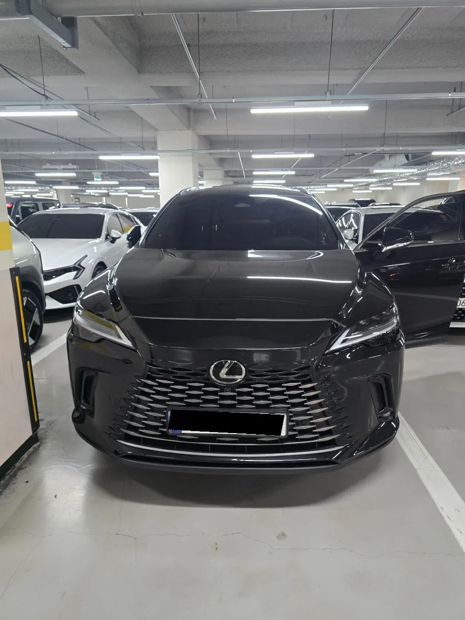 Lexus RX 2024 из Кореи — купить под ключ