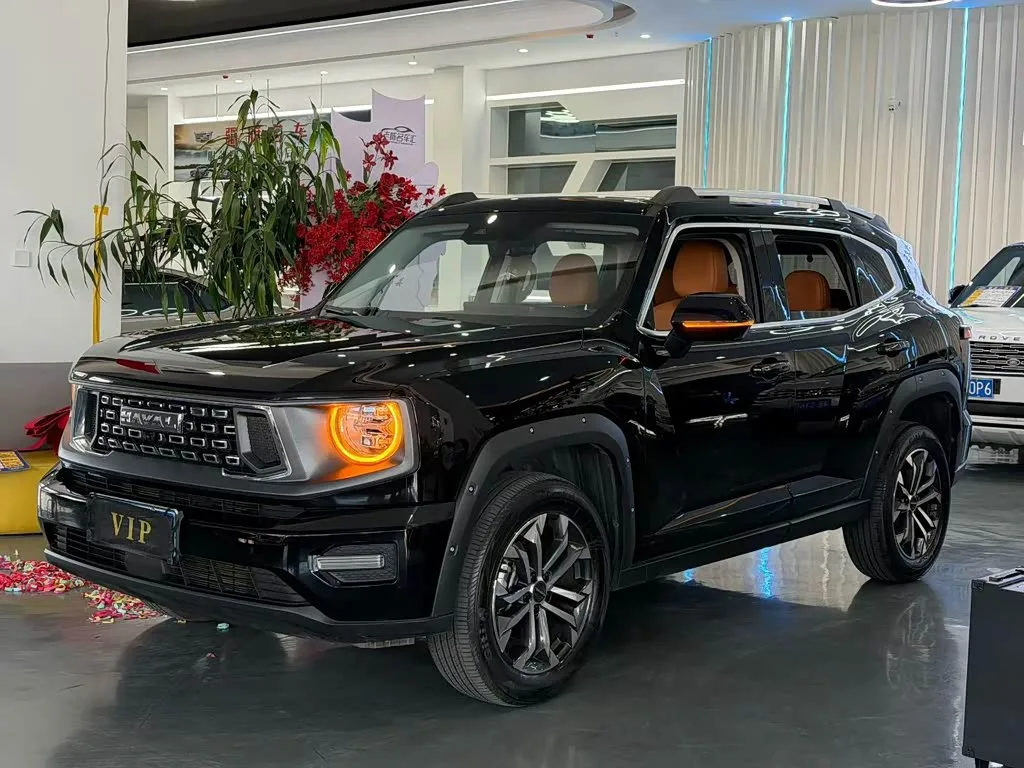 Haval H-Dog 2024 из Китая — купить под ключ