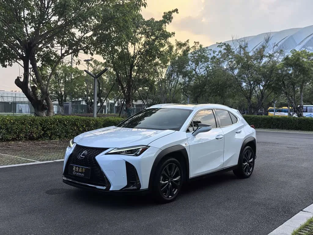 Lexus UX 2020 из Китая — купить под ключ