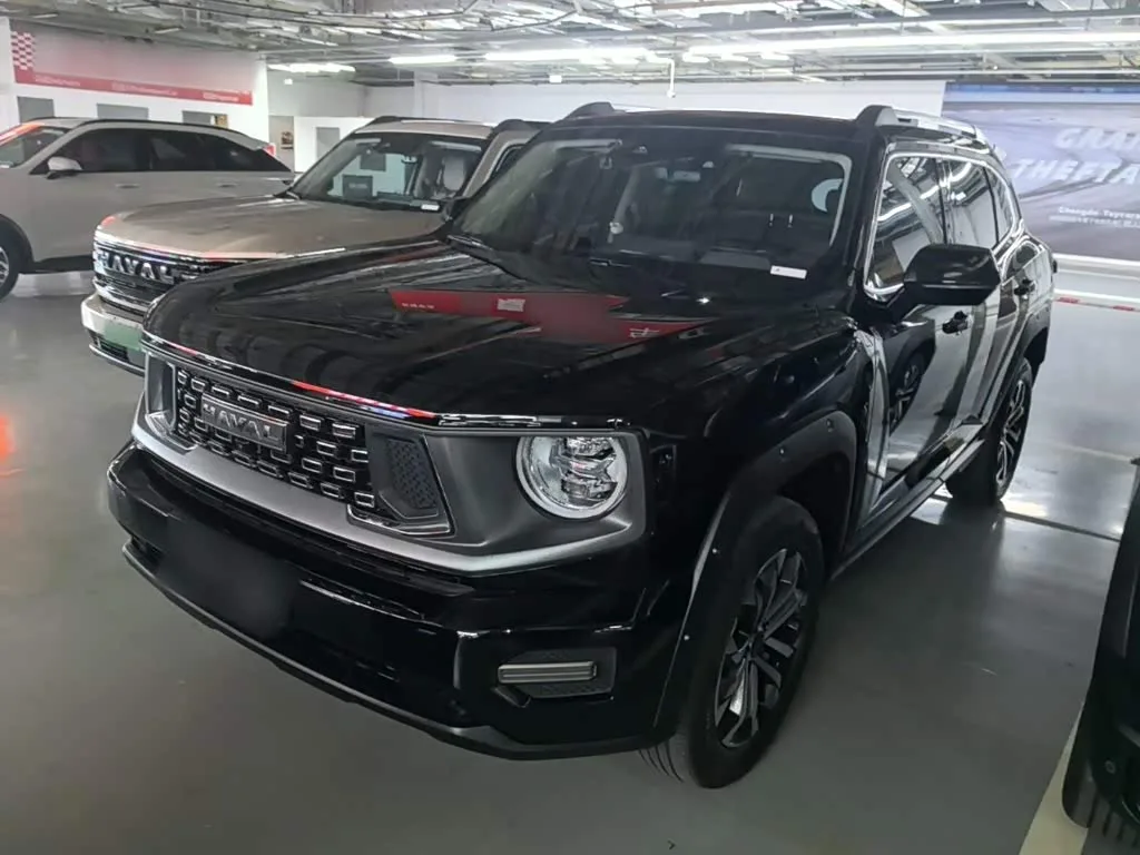 Haval H-Dog 2024 из Китая — купить под ключ