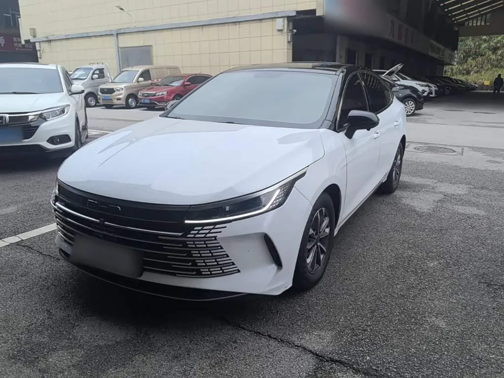 BYD Destroyer 05 2024 из Китая — купить под ключ