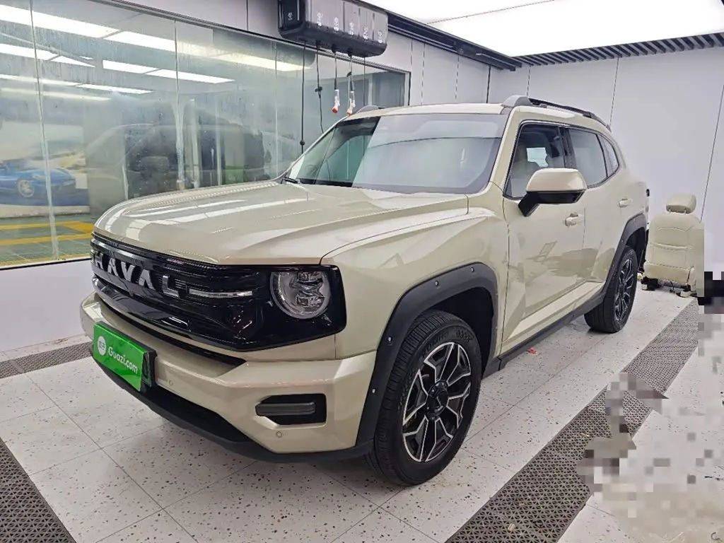 Haval H-Dog Hybrid 2025 из Китая — купить под ключ