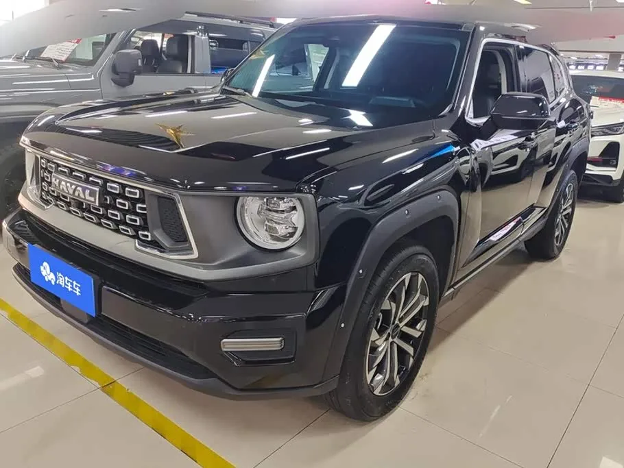 Haval H-Dog 2023 из Китая — купить под ключ