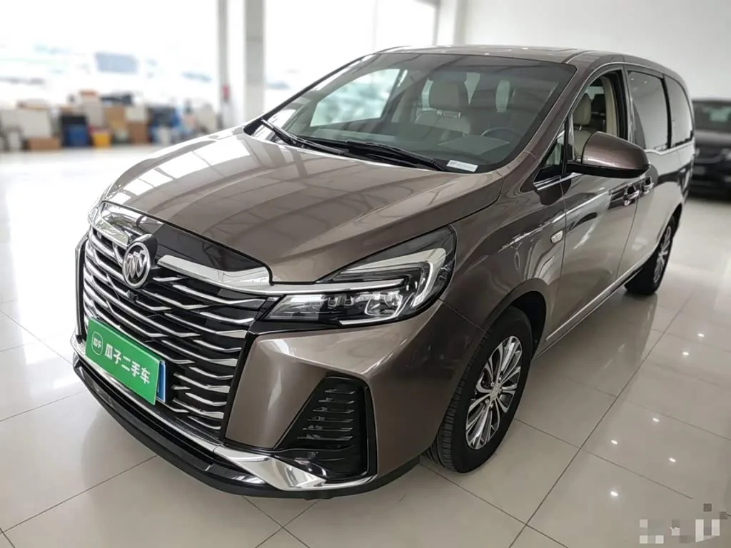 Buick GL8 ES 2022 из Китая — купить под ключ