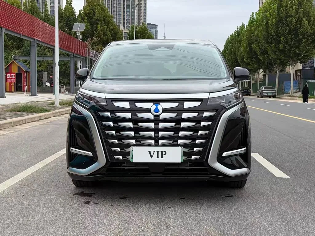 Denza D9 2023 из Китая — купить под ключ