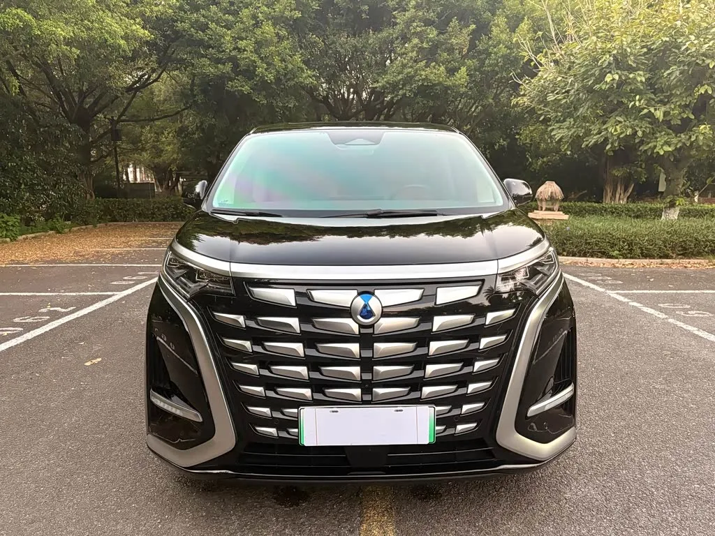 Denza D9 2024 из Китая — купить под ключ