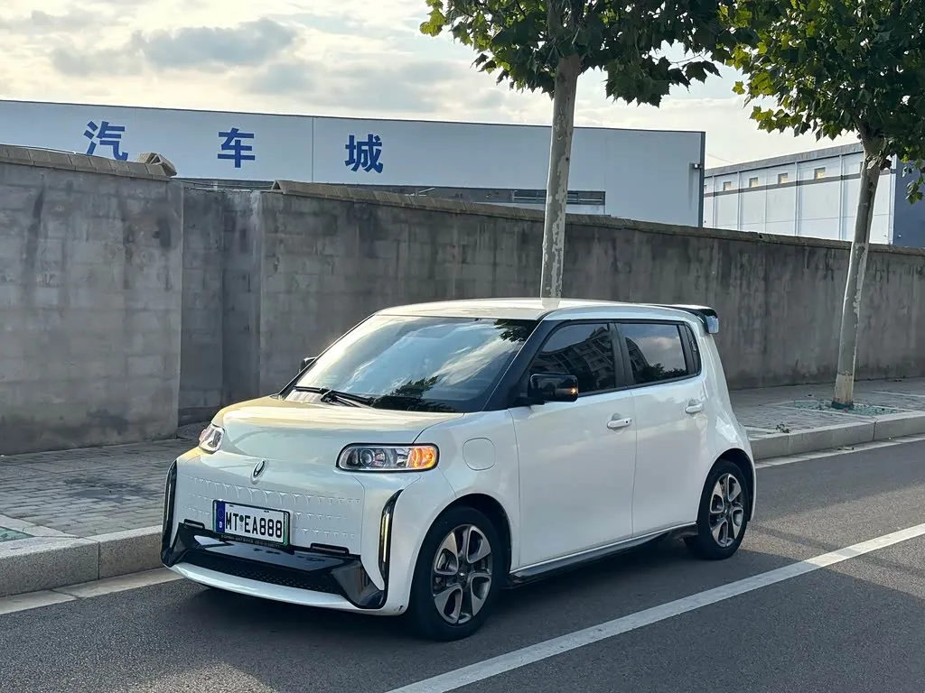 Ora White Cat 2022 из Китая — купить под ключ