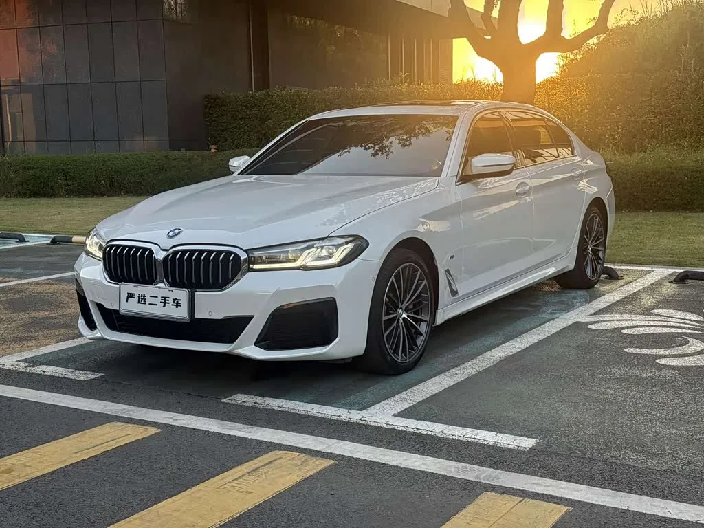 BMW 5 Series 2021 из Китая — купить под ключ