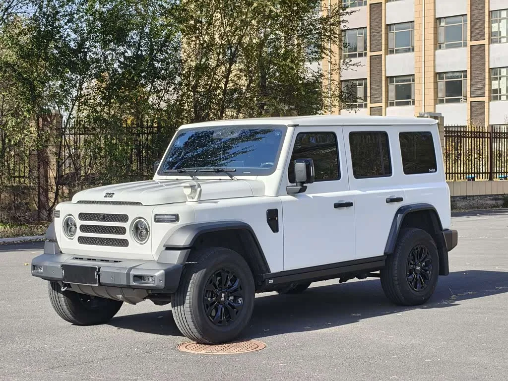 BAW 212 T01 2025 из Китая — купить под ключ