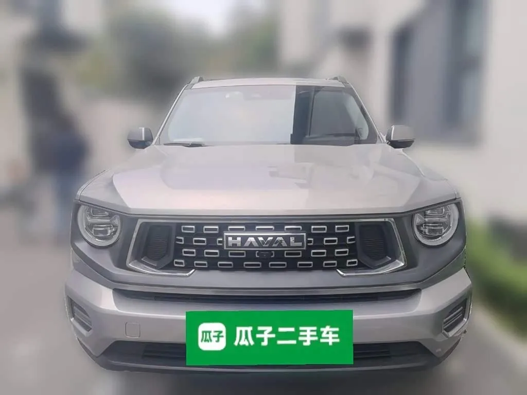Haval H-Dog 2024 из Китая — купить под ключ