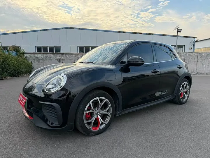 Ora Good Cat GT (03 GT) 2022 из Китая — купить под ключ
