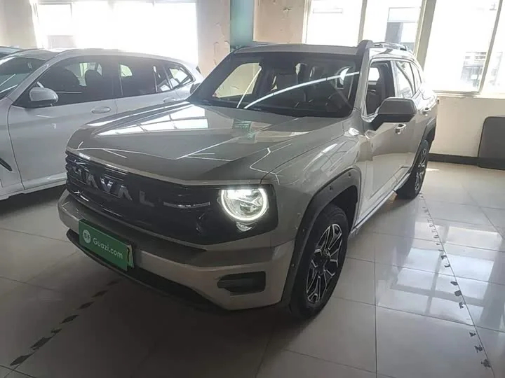 Haval H-Dog Hybrid 2026 из Китая — купить под ключ