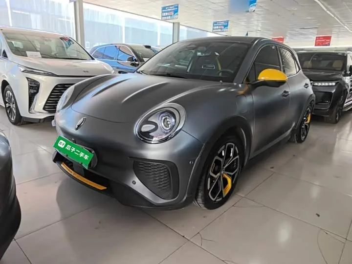 Ora Good Cat GT (03 GT) 2024 из Китая — купить под ключ