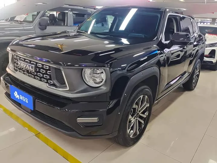 Haval H-Dog 2023 из Китая — купить под ключ