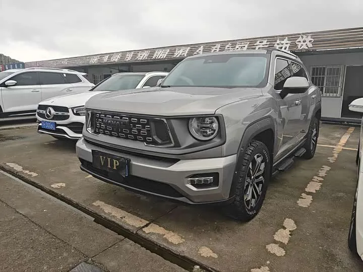 Haval H-Dog 2024 из Китая — купить под ключ